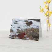 Carte M&Mme. Cardinal Dining (Fleur jaune)