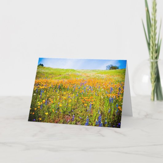 Carte Ma Californie 1 (Devant)