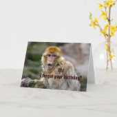 Carte Macaca sylvanus (Fleur jaune)