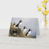 Carte Macareux (Fleur jaune)