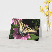 Carte Machaon sur l'echinacée (Fleur jaune)