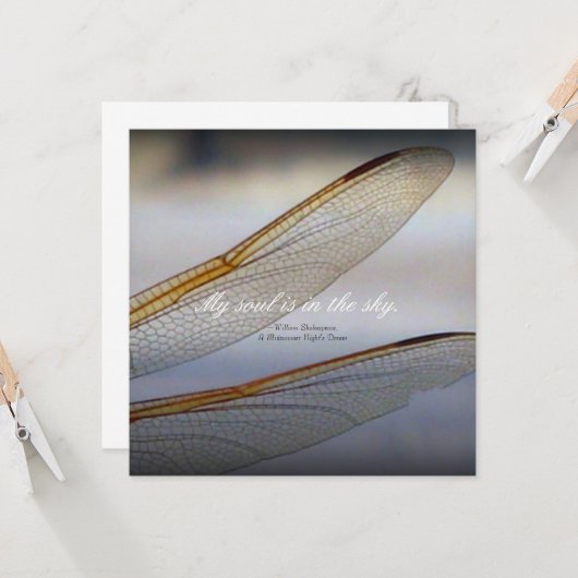 Carte Macro des ailes de libellules avec citation de Sha (Devant/Arrière en situation)