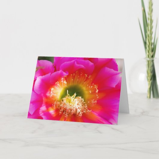 Carte Macro fleur succulente (Devant)