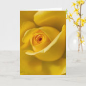 Carte Macro Rose jaune (Fleur jaune)