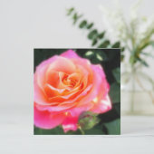 Carte Macro Rose rose et orange (Debout devant)