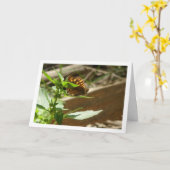 Carte Maculada à papillon en bois moucheté, Aegeria Para (Fleur jaune)