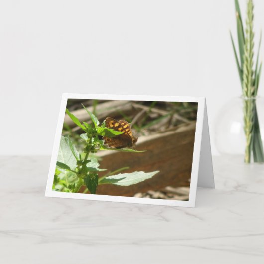 Carte Maculada à papillon en bois moucheté, Aegeria Para (Devant)