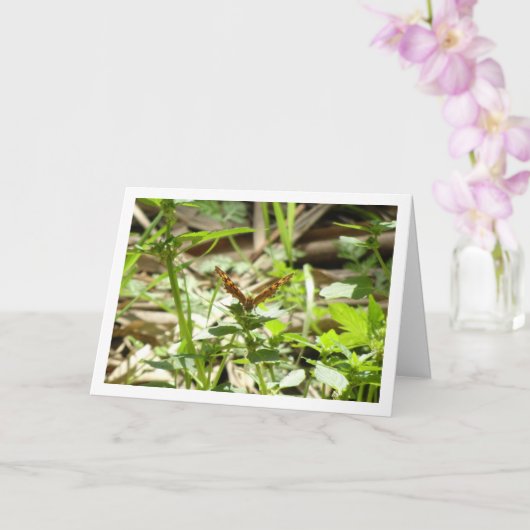 Carte Maculada à papillon en bois moucheté, Aegeria Para (Orchidée)