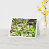 Carte Maculada à papillon en bois moucheté, Aegeria Para (Fleur jaune)