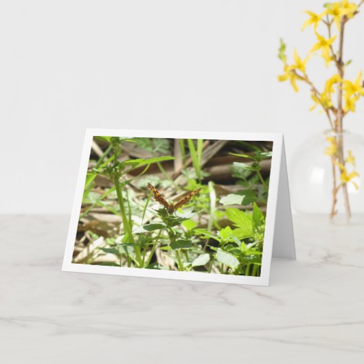 Carte Maculada à papillon en bois moucheté, Aegeria Para (Fleur jaune)