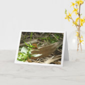 Carte Maculada à papillon en bois moucheté, Aegeria Para (Fleur jaune)