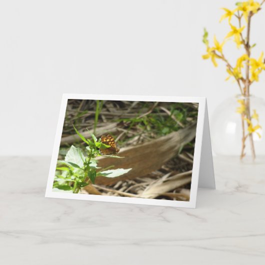 Carte Maculada à papillon en bois moucheté, Aegeria Para (Fleur jaune)