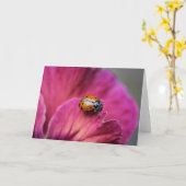 Carte Madame Bug (Fleur jaune)