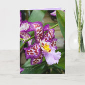 Carte Madame de fantaisie Orchid (Devant)