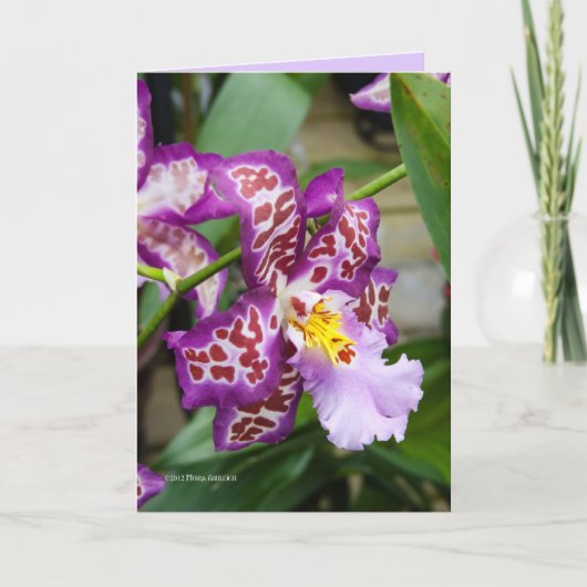 Carte Madame de fantaisie Orchid (Devant)