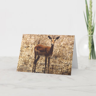 Carte Madame gracieuse (impala)