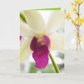 Carte Madame Orchid (Fleur jaune)