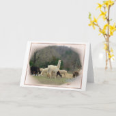 Carte Madame Pompadour (Fleur jaune)