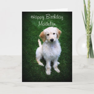 Carte Madelyn Joyeux Anniversaire Golden Doodle Chiot