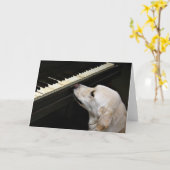 Carte maestro (Fleur jaune)