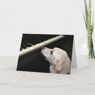 Carte maestro