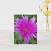 Carte Magenta Pigface (Fleur jaune)