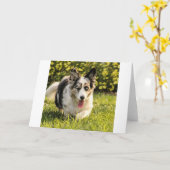 Carte Maggie Mae (Fleur jaune)