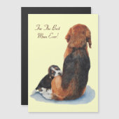 Carte magnétique (Devant / Derrière)