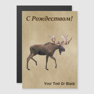 Carte Magnétique С Р о д ж е т с - Bull Moose Sur Vieux Papier