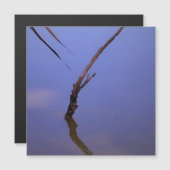 Carte Magnétique #1-Etang de Scamandre en Camargue. Aimant (Devant / Derrière)