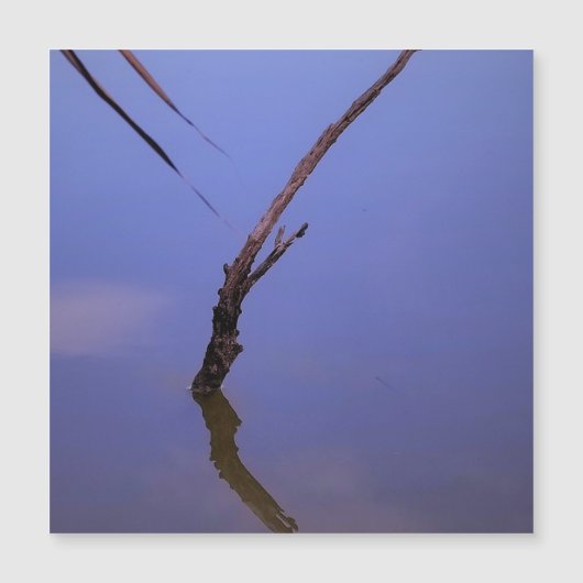 Carte Magnétique #1-Etang de Scamandre en Camargue. Aimant (Devant)