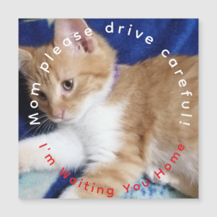 Carte Magnétique aimant de voiture humour chat roux photo texte Mam