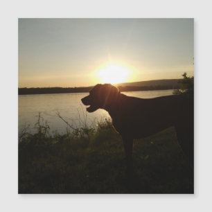 Carte Magnétique Aimant design floral coloré