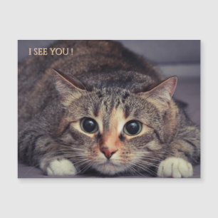 Carte Magnétique Aimant drôle de chat je vous vois