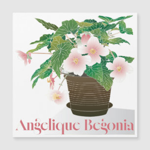 Carte Magnétique Aimant plat Begonia