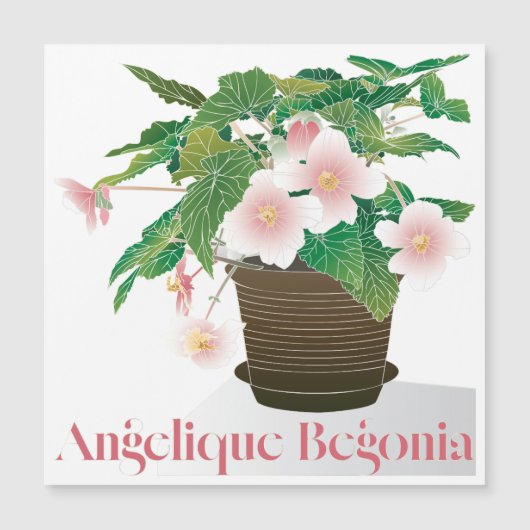 Carte Magnétique Aimant plat Begonia (Devant)