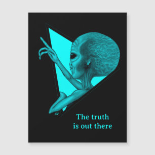 Carte Magnétique Alien gris, la vérité est là