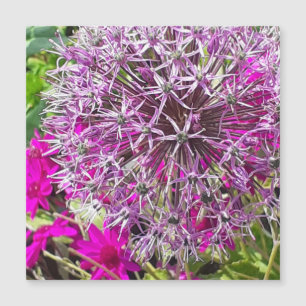 Carte magnétique Allium & Fleurs d'été