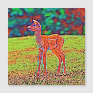 Carte Magnétique AnimalColor_Antilope_001