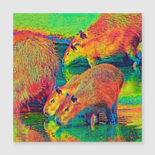 Carte Magnétique AnimalColor_Capybara_004