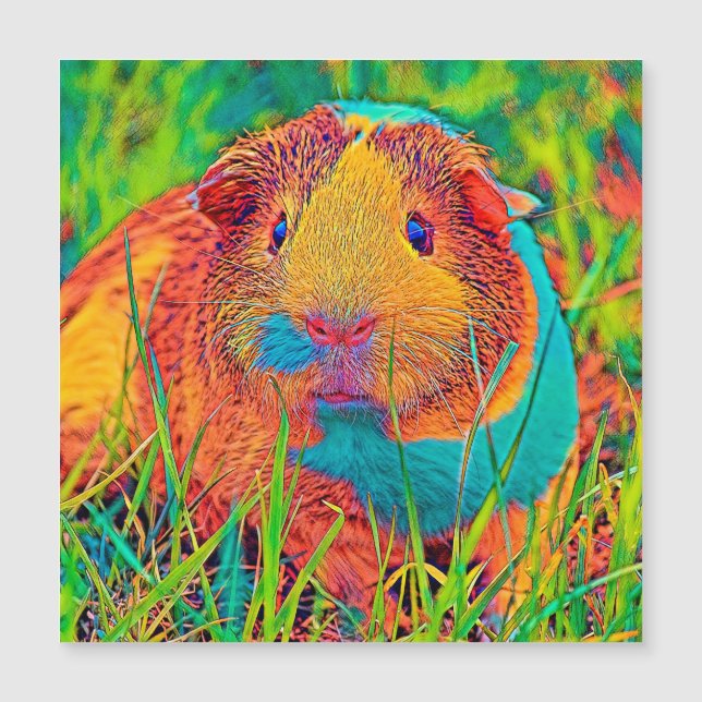 Carte Magnétique AnimalColor_Guineapig_017 (Devant)