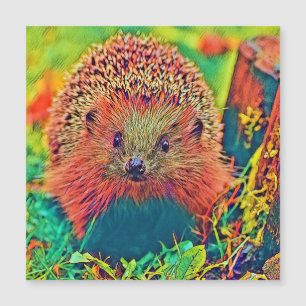 Carte Magnétique AnimalColor_Hedgehog_002