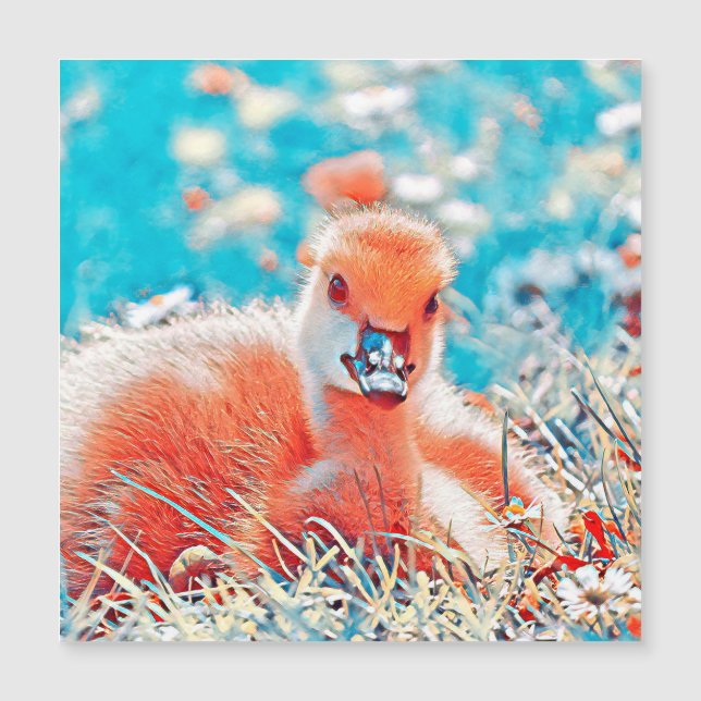 Carte Magnétique AnimalMix_Bird_019 (Devant)