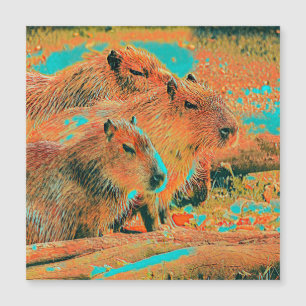 Carte Magnétique AnimalMix_Capybara_006