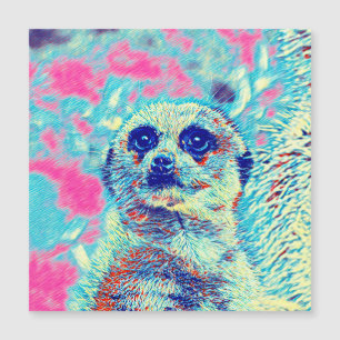 Carte Magnétique AnimalMix_Meerkat_008