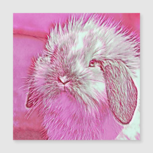 Carte Magnétique AnimalMix_Rabbit_008
