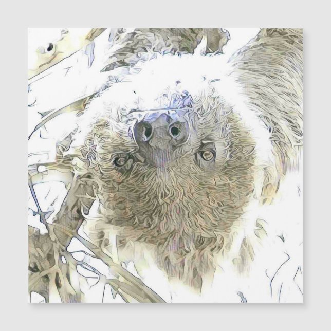 Carte Magnétique animaux fascinants - Sloth (Devant)