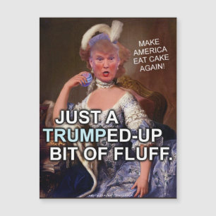 Carte Magnétique Anti élection 2016 de Donald Trump Marie