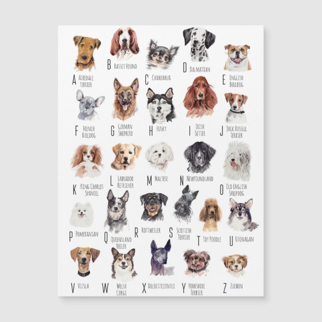 Carte Magnétique Aquarelle de l'alphabet du chien (Devant)