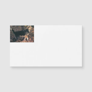 Carte Magnétique Armant full.png